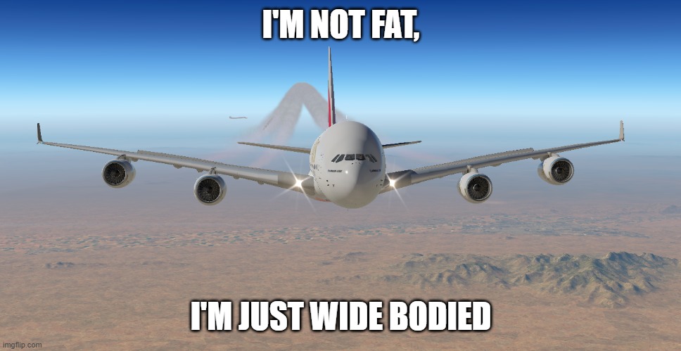 Im not fat | I'M NOT FAT, I'M JUST WIDE BODIED | image tagged in funny | made w/ Imgflip meme maker