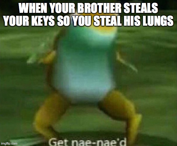 get nan nae'd | WHEN YOUR BROTHER STEALS YOUR KEYS SO YOU STEAL HIS LUNGS | image tagged in get nae-nae'd | made w/ Imgflip meme maker
