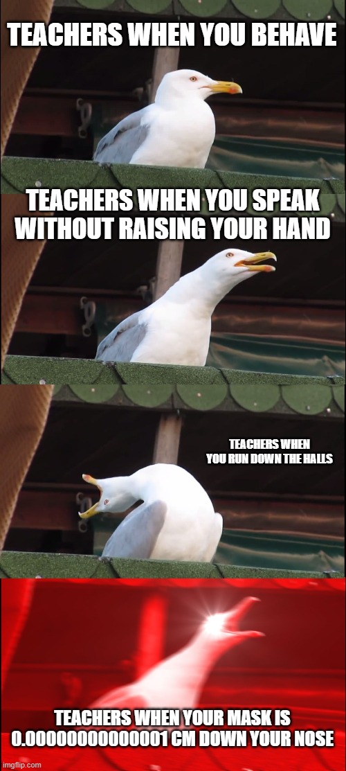 I Hate It When This Happens | TEACHERS WHEN YOU BEHAVE; TEACHERS WHEN YOU SPEAK WITHOUT RAISING YOUR HAND; TEACHERS WHEN YOU RUN DOWN THE HALLS; TEACHERS WHEN YOUR MASK IS 0.00000000000001 CM DOWN YOUR NOSE | image tagged in memes,inhaling seagull,teachers | made w/ Imgflip meme maker