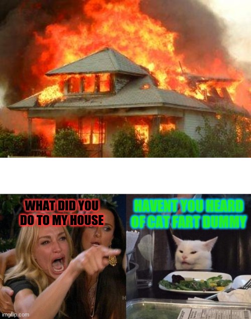 Karen calm down you still have a few dollars left | HAVENT YOU HEARD OF CAT FART DUMMY; WHAT DID YOU DO TO MY HOUSE | image tagged in memes,woman yelling at cat,karen,burning,house,fire | made w/ Imgflip meme maker