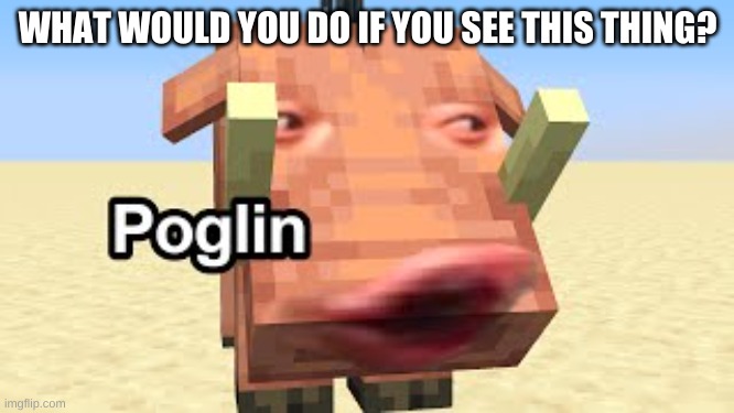 i guess you are my nether pogchamp | WHAT WOULD YOU DO IF YOU SEE THIS THING? | image tagged in memes,funny,minecraft,poglin,cursed image | made w/ Imgflip meme maker