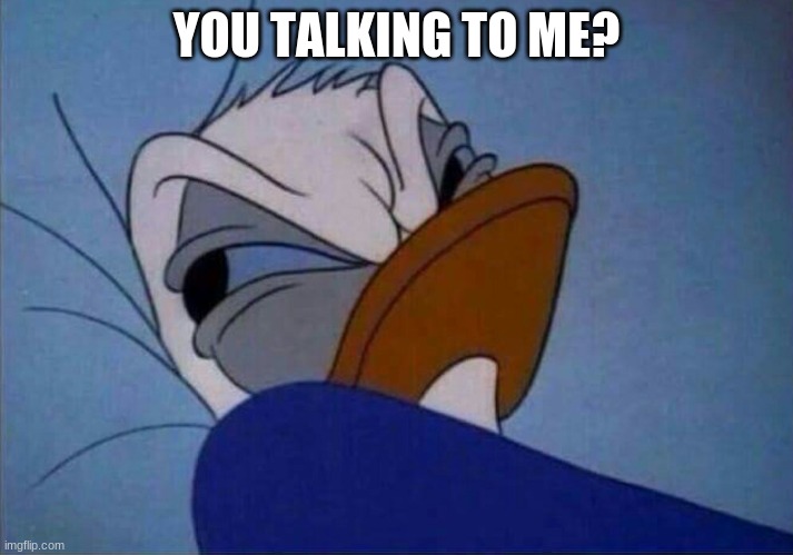 angry donald duck  | YOU TALKING TO ME? | image tagged in angry donald duck | made w/ Imgflip meme maker