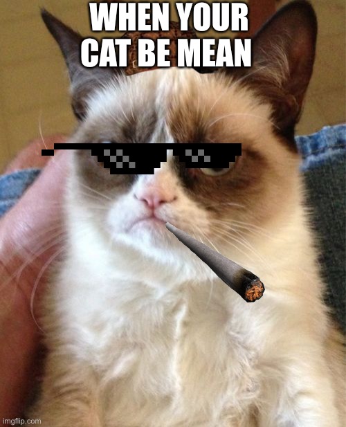 Grumpy Cat | WHEN YOUR CAT BE MEAN | image tagged in memes,grumpy cat | made w/ Imgflip meme maker