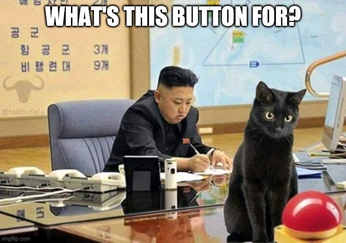 WHAT'S THIS BUTTON FOR? | made w/ Imgflip meme maker