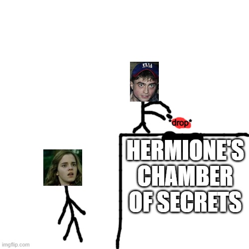 Blank Transparent Square Meme | HERMIONE'S CHAMBER OF SECRETS *drop* | image tagged in memes,blank transparent square | made w/ Imgflip meme maker