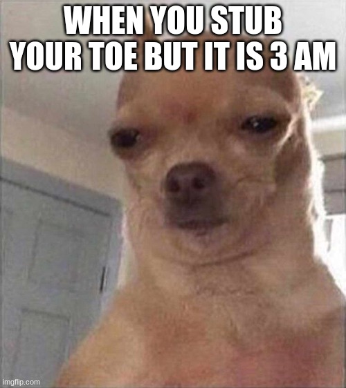 Chihuahua Meme Face | WHEN YOU STUB YOUR TOE BUT IT IS 3 AM | image tagged in chihuahua meme face,bababooey,xd,chihuahua,funny | made w/ Imgflip meme maker