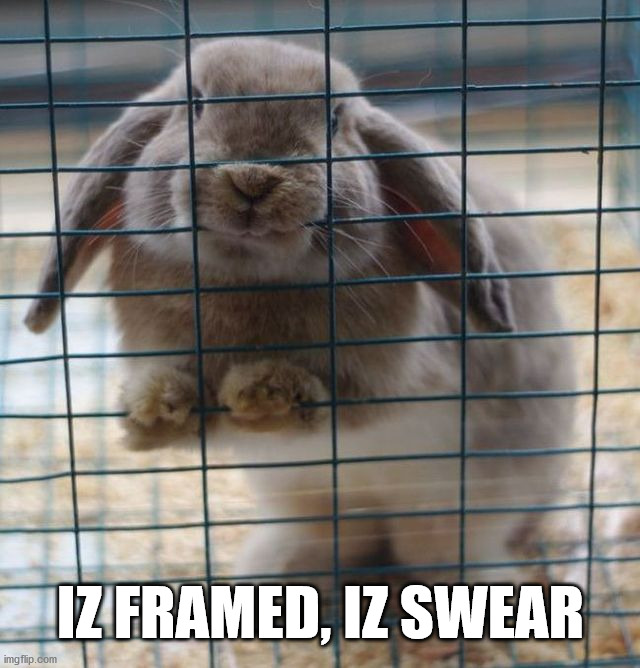 IZ FRAMED, IZ SWEAR | image tagged in bunnies | made w/ Imgflip meme maker