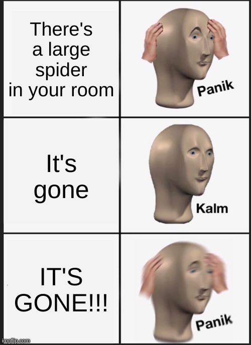 As a person with Arachnophobia, and a person this has happened to, I wouldn't be able to sleep. | There's a large spider in your room; It's gone; IT'S GONE!!! | image tagged in memes,panik kalm panik,spider | made w/ Imgflip meme maker