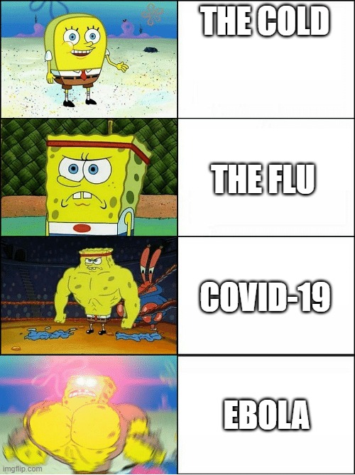 And they think that Covid is the worst | THE COLD; THE FLU; COVID-19; EBOLA | image tagged in sponge finna commit muder | made w/ Imgflip meme maker