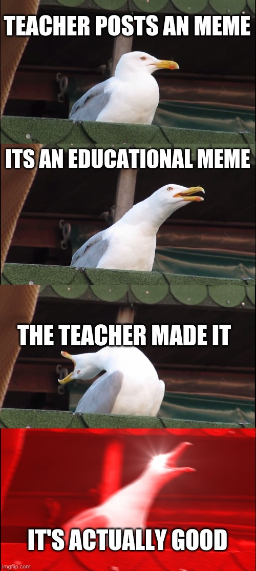 UNHEARD OF! | TEACHER POSTS AN MEME; ITS AN EDUCATIONAL MEME; THE TEACHER MADE IT; IT'S ACTUALLY GOOD | image tagged in memes,inhaling seagull,school,funny,relatable | made w/ Imgflip meme maker