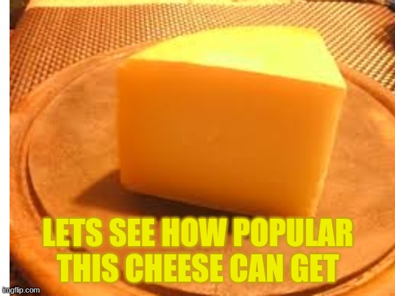 CHEEEEEEEESES the competion | LETS SEE HOW POPULAR THIS CHEESE CAN GET | image tagged in cheese | made w/ Imgflip meme maker