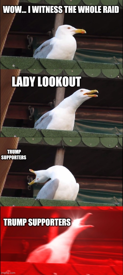 Inhaling Seagull Meme | WOW... I WITNESS THE WHOLE RAID; LADY LOOKOUT; TRUMP SUPPORTERS; TRUMP SUPPORTERS | image tagged in memes,inhaling seagull | made w/ Imgflip meme maker