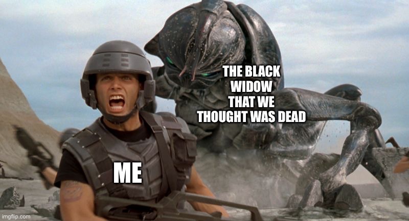 bugs | THE BLACK WIDOW THAT WE THOUGHT WAS DEAD; ME | image tagged in bugs | made w/ Imgflip meme maker