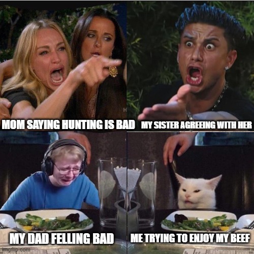 Four panel Taylor Armstrong Pauly D CallmeCarson Cat |  MOM SAYING HUNTING IS BAD; MY SISTER AGREEING WITH HER; ME TRYING TO ENJOY MY BEEF; MY DAD FELLING BAD | image tagged in four panel taylor armstrong pauly d callmecarson cat | made w/ Imgflip meme maker