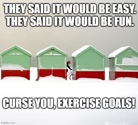 Curse you, exercise goals! | THEY SAID IT WOULD BE EASY.
THEY SAID IT WOULD BE FUN. CURSE YOU, EXERCISE GOALS! | image tagged in snowy bike ride,winter is here,exercise,goals,weight loss | made w/ Imgflip meme maker