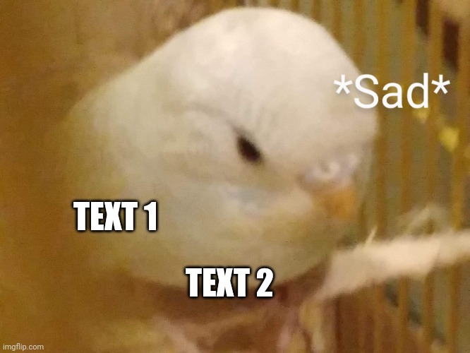 Sad Budgie | TEXT 1; TEXT 2 | image tagged in sad budgie | made w/ Imgflip meme maker