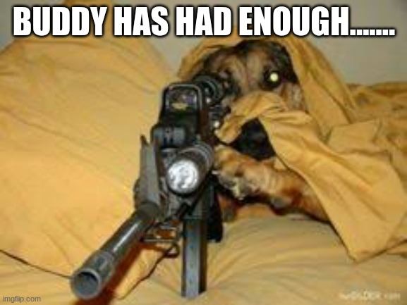 BUDDY HAS HAD ENOUGH....... | image tagged in dog,funny,gun,sniper,xd,hide your wife | made w/ Imgflip meme maker