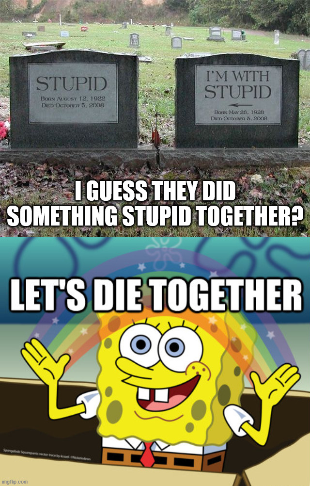 I GUESS THEY DID SOMETHING STUPID TOGETHER? | image tagged in stupid,death,spongebob,dark humor | made w/ Imgflip meme maker