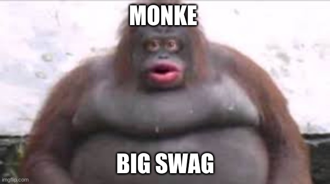 MONKE; BIG SWAG | image tagged in monkey | made w/ Imgflip meme maker