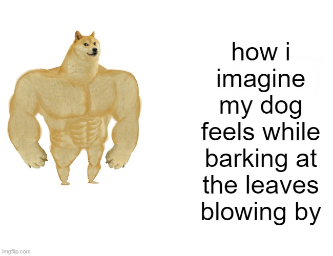 idk | how i imagine my dog feels while barking at the leaves blowing by | image tagged in memes,buff doge vs cheems | made w/ Imgflip meme maker