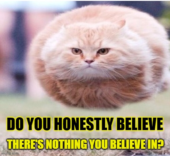 Do you honestly believe there's nothing you believe in? | DO YOU HONESTLY BELIEVE; THERE'S NOTHING YOU BELIEVE IN? | image tagged in cat,faith,religion,believe | made w/ Imgflip meme maker