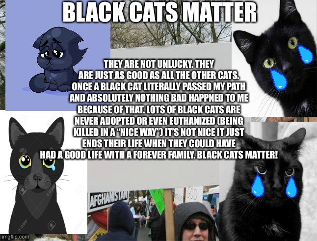 BLACK CATS MATTER! | BLACK CATS MATTER; THEY ARE NOT UNLUCKY. THEY ARE JUST AS GOOD AS ALL THE OTHER CATS. ONCE A BLACK CAT LITERALLY PASSED MY PATH AND ABSOLUTELY NOTHING BAD HAPPNED TO ME BECAUSE OF THAT. LOTS OF BLACK CATS ARE NEVER ADOPTED OR EVEN EUTHANIZED (BEING KILLED IN A “NICE WAY”) IT’S NOT NICE IT JUST ENDS THEIR LIFE WHEN THEY COULD HAVE HAD A GOOD LIFE WITH A FOREVER FAMILY. BLACK CATS MATTER! | image tagged in blank protest sign | made w/ Imgflip meme maker