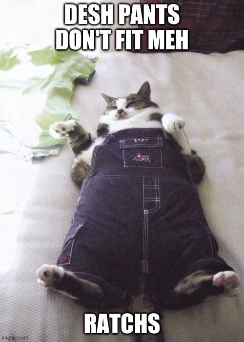 Fat Cat | DESH PANTS DON'T FIT MEH; RATCHS | image tagged in memes,fat cat | made w/ Imgflip meme maker