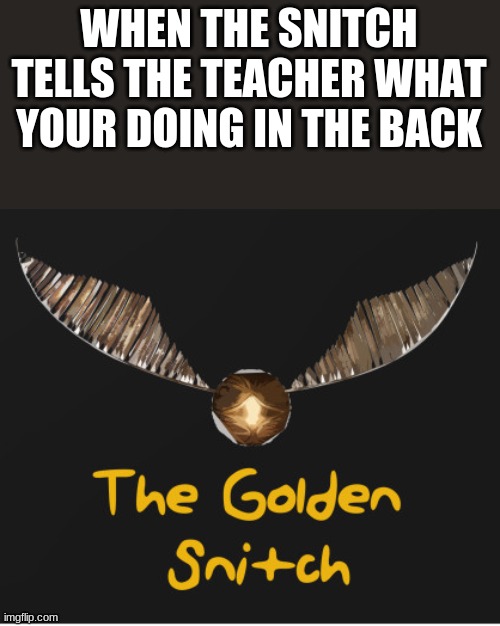 it do be true tho | WHEN THE SNITCH TELLS THE TEACHER WHAT YOUR DOING IN THE BACK | image tagged in snitch,so true | made w/ Imgflip meme maker