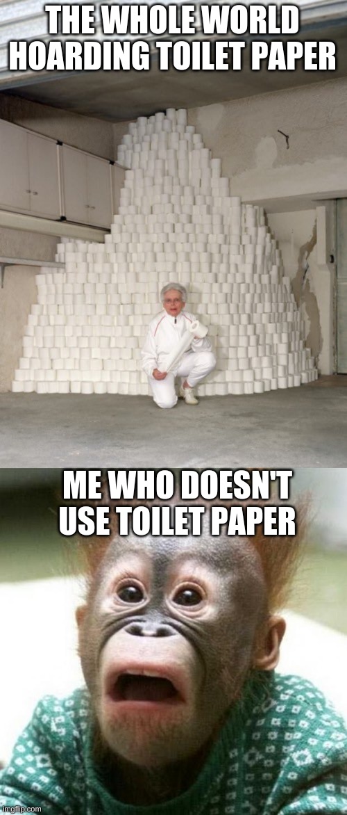 About that tho... |  THE WHOLE WORLD HOARDING TOILET PAPER; ME WHO DOESN'T USE TOILET PAPER | image tagged in mountain of toilet paper,shocked monkey | made w/ Imgflip meme maker