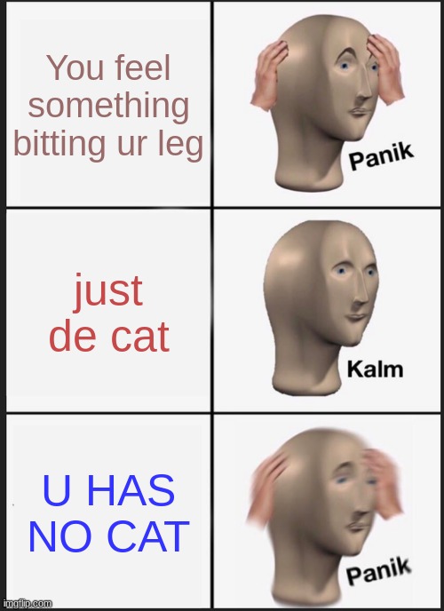 Panik Kalm Panik Meme | You feel something bitting ur leg; just de cat; U HAS NO CAT | image tagged in memes,panik kalm panik | made w/ Imgflip meme maker