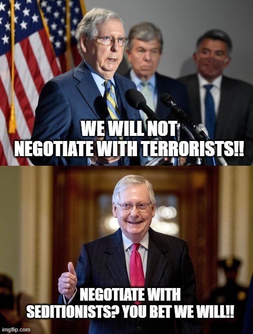 Hypocrisy 101 | image tagged in mitch mcconnell,domestic terrorists | made w/ Imgflip meme maker