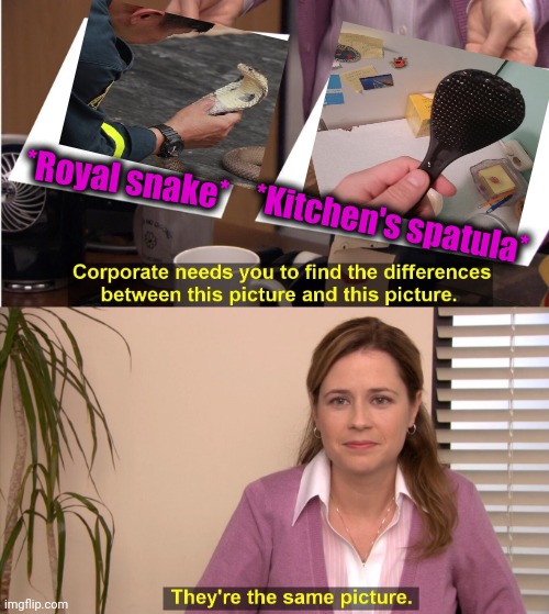-Same. Both. | *Royal snake*; *Kitchen's spatula* | image tagged in memes,they're the same picture,cobra kai,lord kitchener,corporations,poison | made w/ Imgflip meme maker