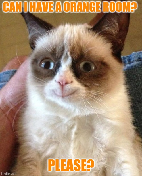 Please? | CAN I HAVE A ORANGE ROOM? PLEASE? | image tagged in memes,grumpy cat happy,grumpy cat | made w/ Imgflip meme maker