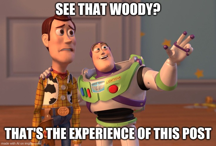 X, X Everywhere Meme | SEE THAT WOODY? THAT'S THE EXPERIENCE OF THIS POST | image tagged in memes,x x everywhere | made w/ Imgflip meme maker