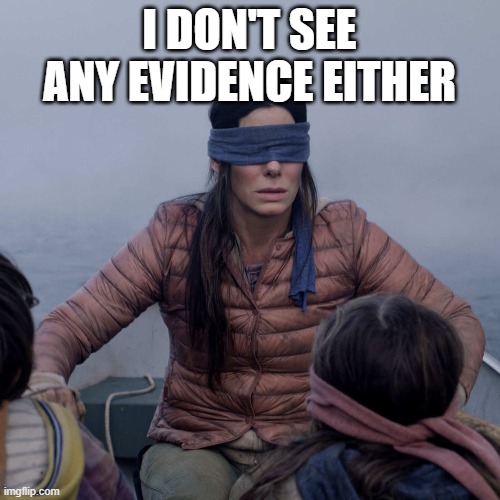 Bird Box Meme | I DON'T SEE ANY EVIDENCE EITHER | image tagged in memes,bird box | made w/ Imgflip meme maker