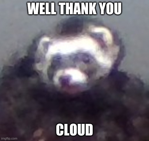 zach's ferret | WELL THANK YOU CLOUD | image tagged in zach's ferret | made w/ Imgflip meme maker