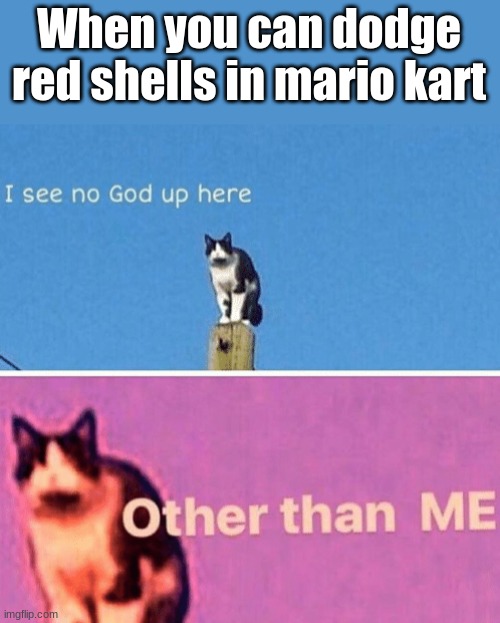 Mario Kart | When you can dodge red shells in mario kart | image tagged in hail pole cat | made w/ Imgflip meme maker