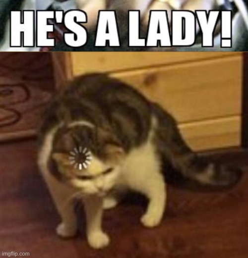 Loading cat | image tagged in loading cat | made w/ Imgflip meme maker