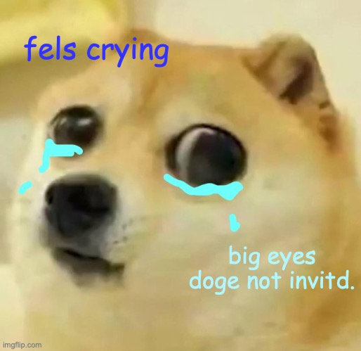 big eyes doge not invited into a party. | fels crying; big eyes doge not invitd. | image tagged in big eyes crying doge,sad,party,not,invited,hurt | made w/ Imgflip meme maker