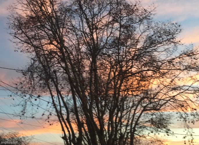 Pretty Sunset and tree | image tagged in sunset,tree | made w/ Imgflip meme maker