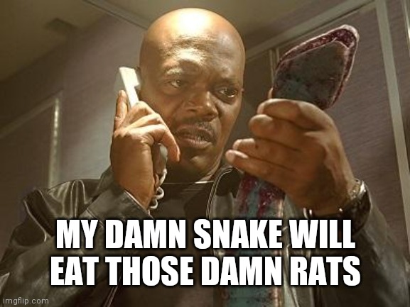 snakes on a plane | MY DAMN SNAKE WILL EAT THOSE DAMN RATS | image tagged in snakes on a plane | made w/ Imgflip meme maker