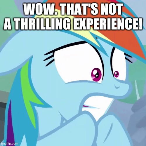 WOW. THAT'S NOT A THRILLING EXPERIENCE! | made w/ Imgflip meme maker