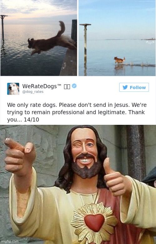 Jesus dog | image tagged in smiling jesus,dog,funny,memes | made w/ Imgflip meme maker