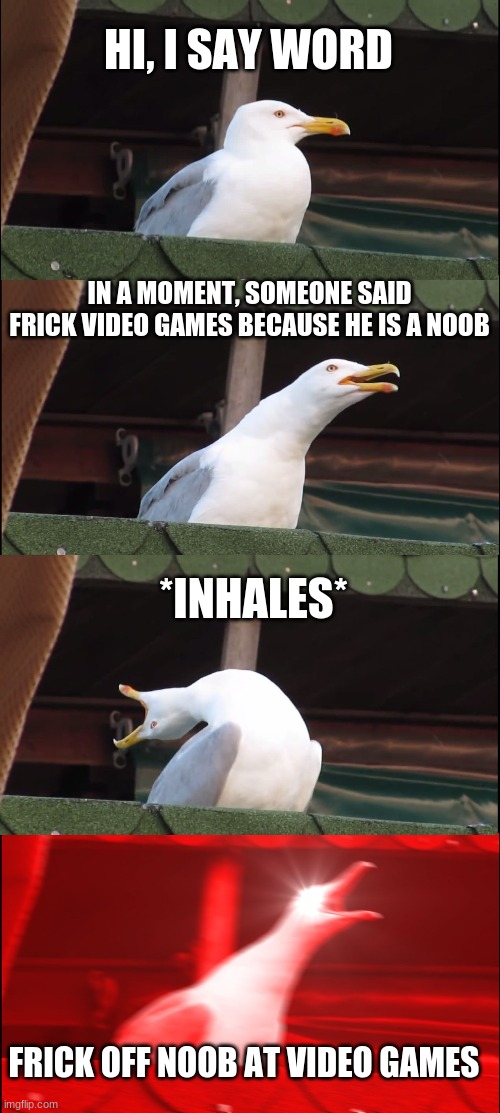 Inhaling Seagull Meme | HI, I SAY WORD; IN A MOMENT, SOMEONE SAID FRICK VIDEO GAMES BECAUSE HE IS A NOOB; *INHALES*; FRICK OFF NOOB AT VIDEO GAMES | image tagged in memes,inhaling seagull | made w/ Imgflip meme maker