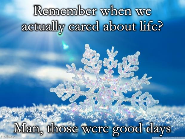 they really were | Remember when we actually cared about life? Man, those were good days | image tagged in snowflake | made w/ Imgflip meme maker