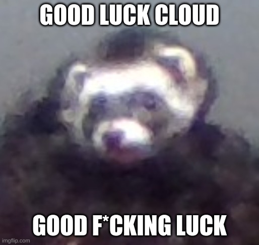 zach's ferret | GOOD LUCK CLOUD GOOD F*CKING LUCK | image tagged in zach's ferret | made w/ Imgflip meme maker