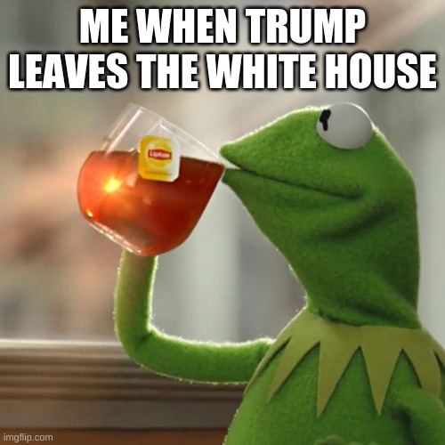 But That's None Of My Business Meme | ME WHEN TRUMP LEAVES THE WHITE HOUSE | image tagged in memes,but that's none of my business,kermit the frog | made w/ Imgflip meme maker