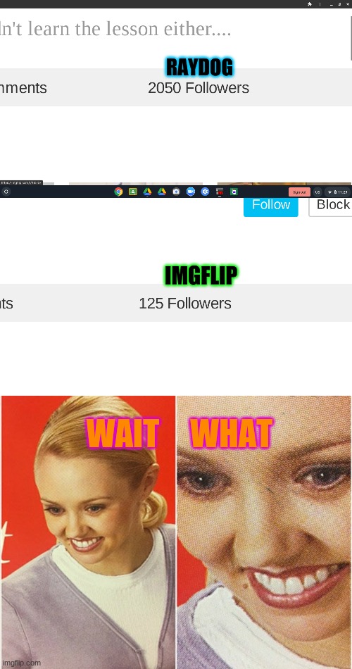 When you realize Raydog has 1925 more followers then imgflip | RAYDOG; IMGFLIP; WAIT     WHAT | image tagged in wait what,imgflip,raydog,followers | made w/ Imgflip meme maker