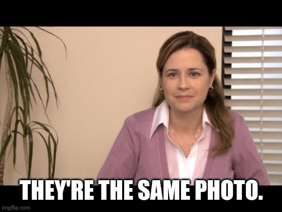 They're the same picture | THEY'RE THE SAME PHOTO. | image tagged in they're the same picture | made w/ Imgflip meme maker