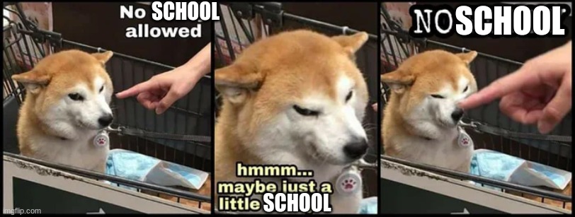 The hand is us. The doge is also us. | SCHOOL; SCHOOL; SCHOOL | image tagged in just a little horny,true | made w/ Imgflip meme maker